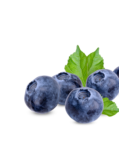 Agrícola 3P - Cultivando frutos de calidad - arandanos peru - uvas de mesa peru - growing quality fruits - blueberries - grapes