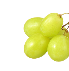 Agrícola 3P - Cultivando frutos de calidad - arandanos peru - uvas de mesa peru