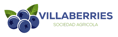 Villaberries