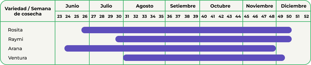 Agrícola 3P - Cultivando frutos de calidad - arandanos peru - uvas de mesa peru - growing quality fruits - blueberries - grapes