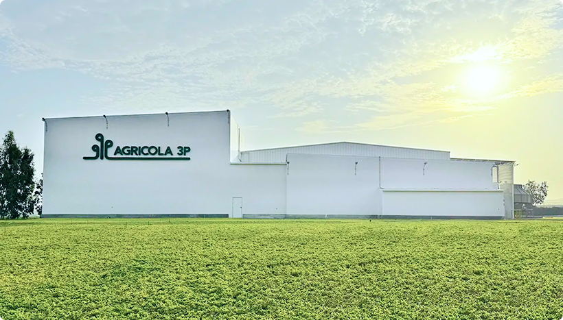 We inagurated our modern packing facility for grapes and blueberries