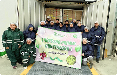 Agrícola 3P - Cultivando frutos de calidad - arandanos peru - uvas de mesa peru